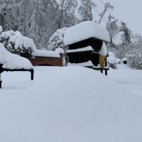 Schnee in Glattfelden